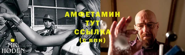мдпв Вязьма