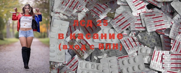 скорость Вяземский