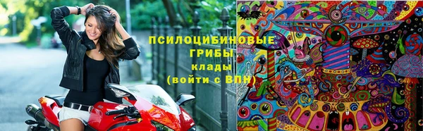 скорость Вяземский